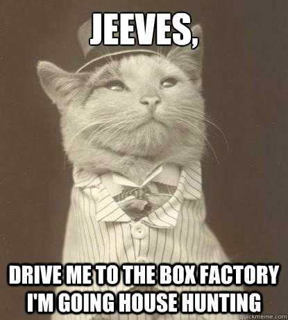 Jeeves, drive me to the box factory I'm going house hunting  Aristocat