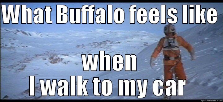 WHAT BUFFALO FEELS LIKE  WHEN I WALK TO MY CAR  Misc