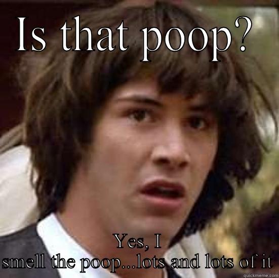 Starting to smell it - IS THAT POOP? YES, I SMELL THE POOP...LOTS AND LOTS OF IT conspiracy keanu