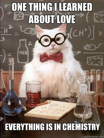 ONE THING I LEARNED ABOUT LOVE EVERYTHING IS IN CHEMISTRY - ONE THING I LEARNED ABOUT LOVE EVERYTHING IS IN CHEMISTRY  Chemistry Cat