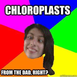 Chloroplasts From the dad, right?  Carina