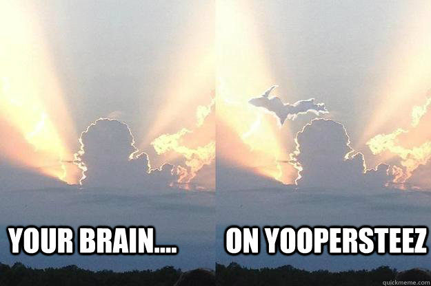 Your Brain....         On YooperSteez - Your Brain....         On YooperSteez  YooperSteez