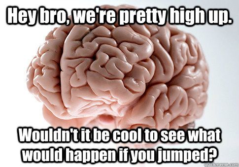 Hey bro, we're pretty high up.  Wouldn't it be cool to see what would happen if you jumped?  Scumbag Brain