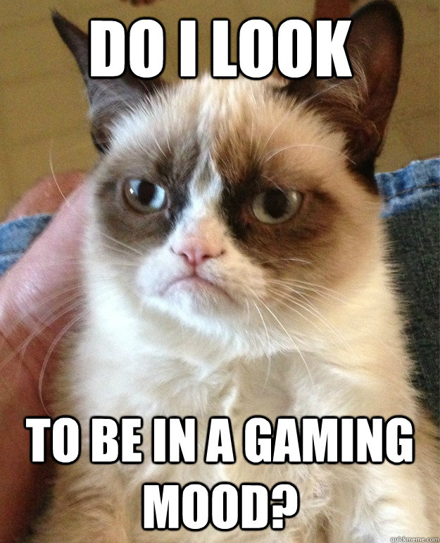 Do i look  to be in a gaming mood?  Grumpy Cat