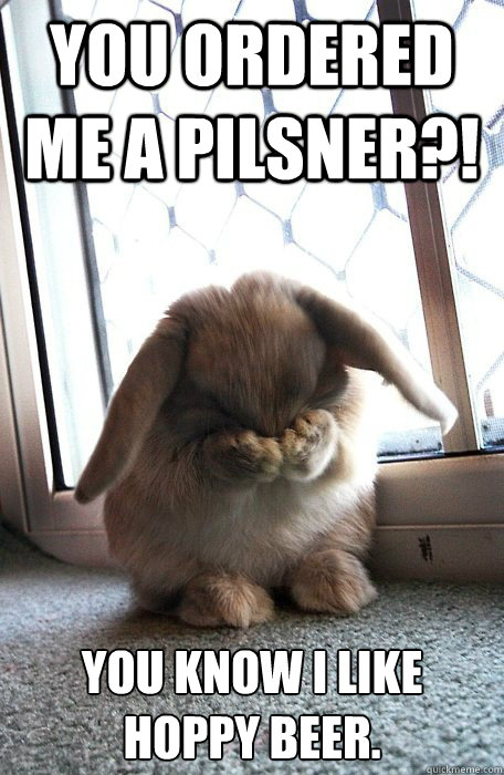 You ordered me a pilsner?! You know I like hoppy beer.  Sad Bunny