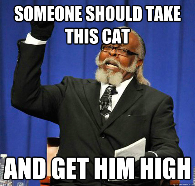 Someone should take this cat and get him high  Jimmy McMillan