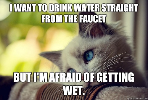 I want to drink water straight from the faucet  but I'm afraid of getting wet.   First World Problems Cat