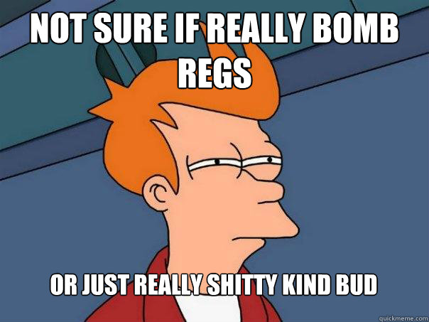 Not sure if really bomb regs Or just really shitty kind bud  Futurama Fry