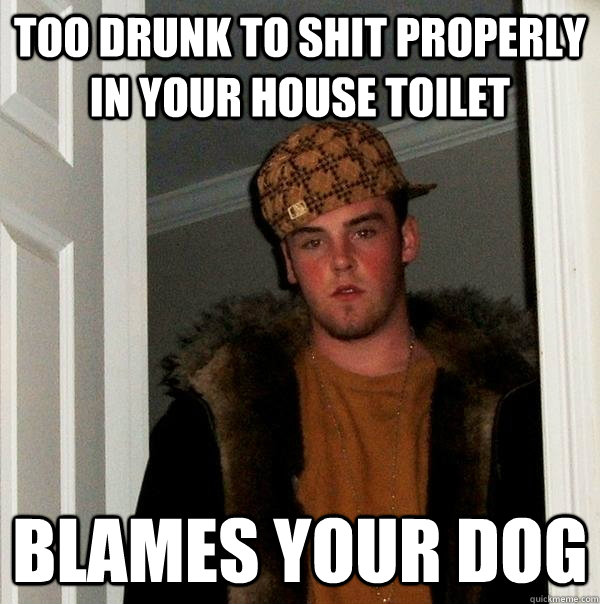 too drunk to shit properly in your house toilet blames your dog - too drunk to shit properly in your house toilet blames your dog  Scumbag Steve