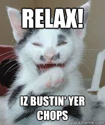 relax! Iz bustin' yer chops  Cat busting chops