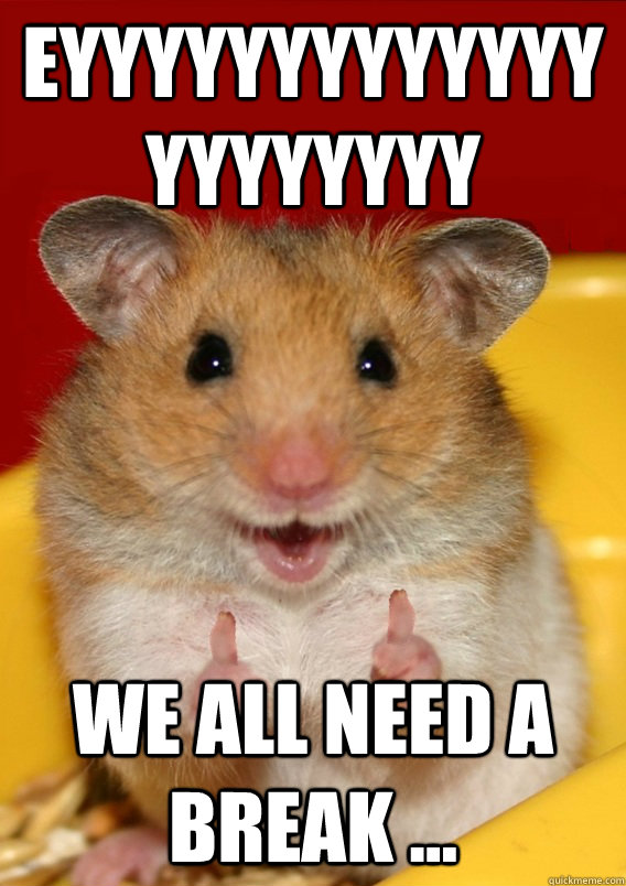 Eyyyyyyyyyyyyyyyyyyyyy We all need a break ... - Eyyyyyyyyyyyyyyyyyyyyy We all need a break ...  Rationalization Hamster