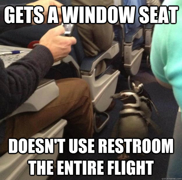 Gets a window seat doesn't use restroom the entire flight - Gets a window seat doesn't use restroom the entire flight  Misc