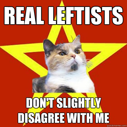 real leftists don't slightly disagree with me  Lenin Cat