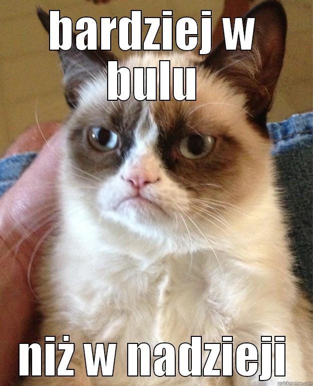 BARDZIEJ W BULU NIŻ W NADZIEJI Misc