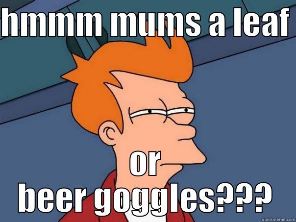 HMMM MUMS A LEAF  OR BEER GOGGLES??? Futurama Fry