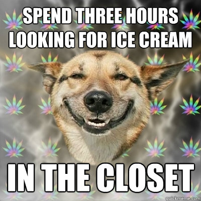 Spend three hours looking for ice cream in the closet  Stoner Dog