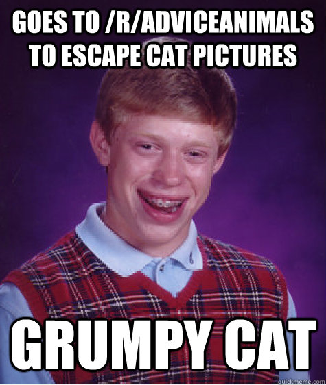 goes to /r/adviceanimals to escape cat pictures grumpy cat - goes to /r/adviceanimals to escape cat pictures grumpy cat  Bad Luck Brian