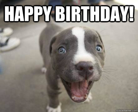 Happy birthday!  - Happy birthday!   pitbull bday