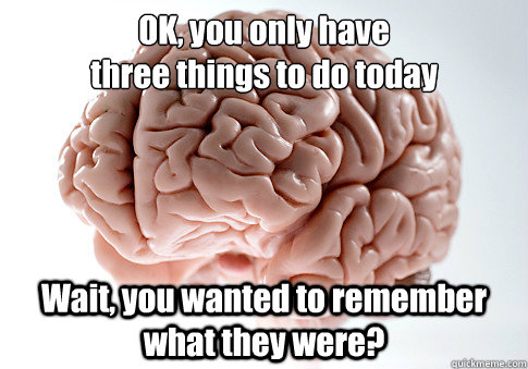 OK, you only have 
three things to do today Wait, you wanted to remember what they were?  Scumbag Brain