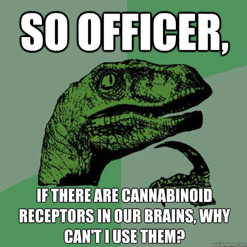 so officer, if there are cannabinoid receptors in our brains, why can't i use them?  Philosoraptor