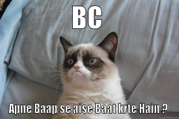 Grumpy Ashish - BC APNE BAAP SE AISE BAAT KRTE HAIN ? Grumpy Cat