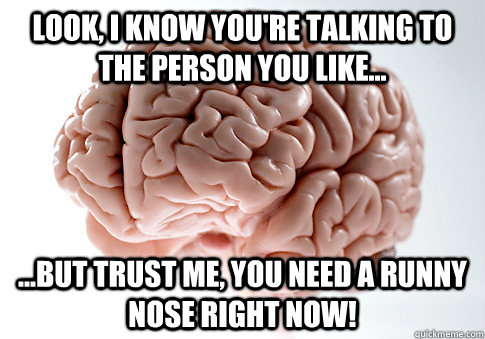 Look, I know you're talking to the person you like... ...But trust me, you need a runny nose right now!  Scumbag Brain