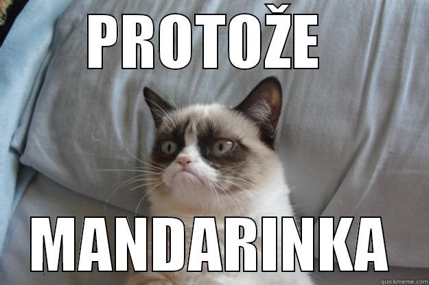 PROTOŽE  MANDARINKA Grumpy Cat