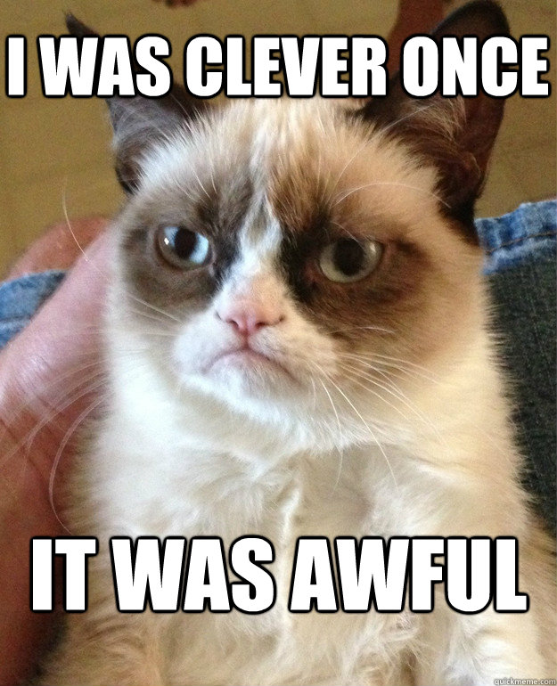 I was clever once it was awful  Grumpy Cat