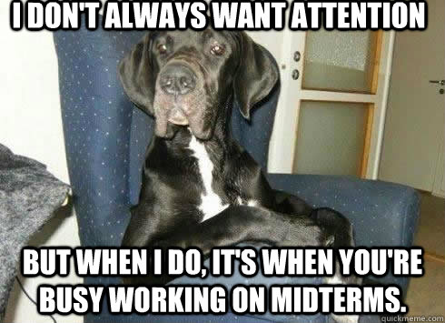 I don't always want attention but when i do, it's when you're busy working on midterms.  