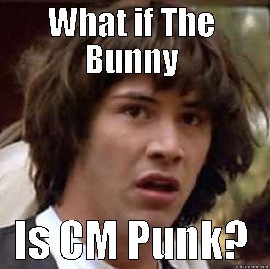 Straightedge Express? - WHAT IF THE BUNNY IS CM PUNK? conspiracy keanu