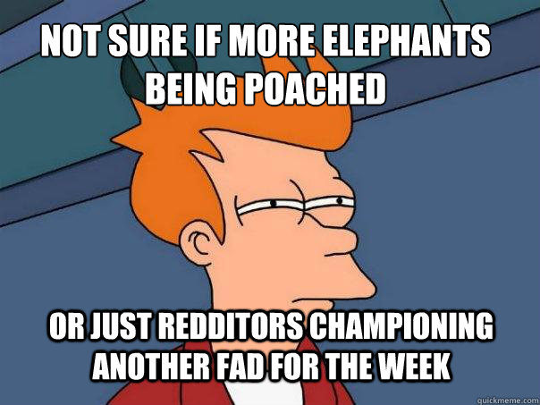 Not sure if More elephants being poached Or just redditors championing another fad for the week  Futurama Fry