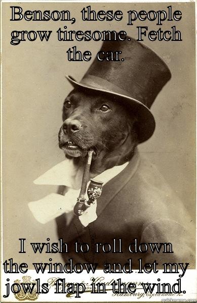 BENSON, THESE PEOPLE GROW TIRESOME. FETCH THE CAR. I WISH TO ROLL DOWN THE WINDOW AND LET MY JOWLS FLAP IN THE WIND. Old Money Dog