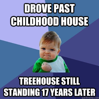 Drove past Childhood House treehouse still standing 17 years later - Drove past Childhood House treehouse still standing 17 years later  Success Kid