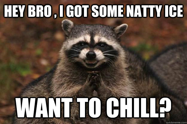 Hey Bro , I got some Natty Ice Want to chill?  Evil Plotting Raccoon