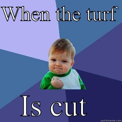 When the turf is cut  - WHEN THE TURF  IS CUT  Success Kid