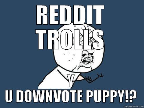 REDDIT TROLLS Y U DOWNVOTE PUPPY!? Y U No