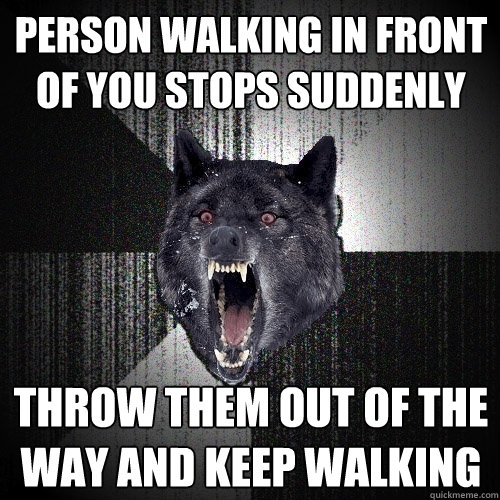 person walking in front of you stops suddenly throw them out of the way and keep walking  Insanity Wolf