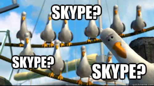 Skype? Skype? Skype?  Nemo Seagulls