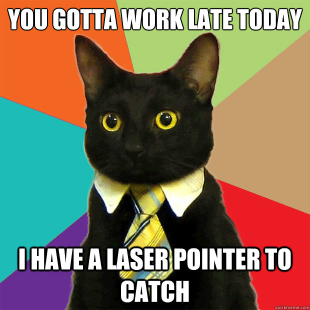 You gotta work late today I have a laser pointer to catch  Business Cat