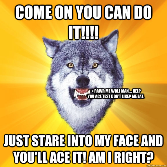 COME ON YOU CAN DO IT!!!! JUST STARE INTO MY FACE AND YOU'LL ACE IT! AM I RIGHT?  < rawr me wolf man.... help you ace test don't like? Me eat.  Courage Wolf