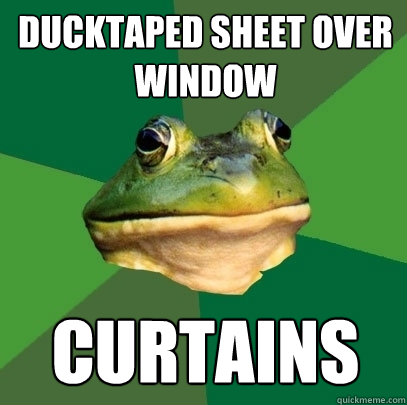 Ducktaped sheet over window curtains - Ducktaped sheet over window curtains  Foul Bachelor Frog