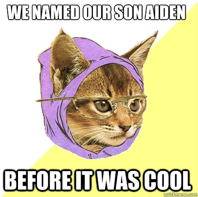 We named our son Aiden before it was cool  Hipster Kitty