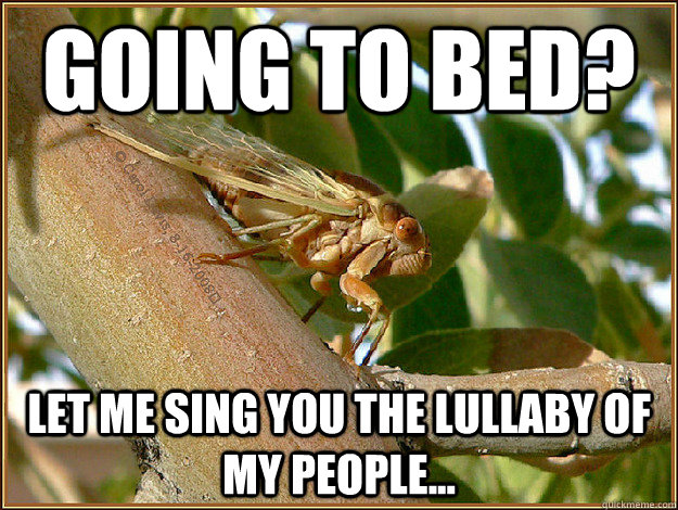 Going to Bed? Let me sing you the lullaby of my people... - Going to Bed? Let me sing you the lullaby of my people...  Going to Bed