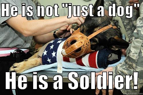 he's not just a soldier - HE IS NOT 