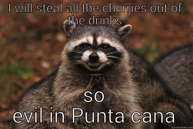 I WILL STEAL ALL THE CHERRIES OUT OF THE DRINKS SO EVIL IN PUNTA CANA Evil Plotting Raccoon