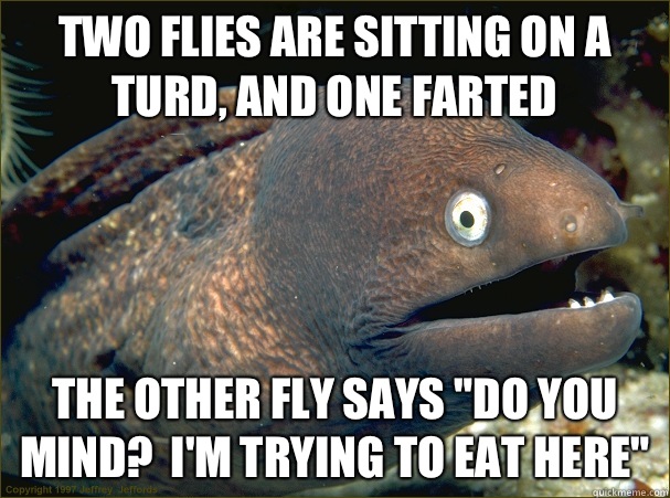 Two flies are sitting on a turd, and one farted The other fly says 