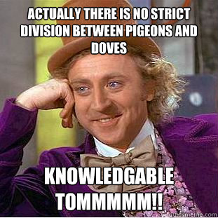 Actually there is no strict division between pigeons and doves  KNOWLEDGABLE TOMMMMM!!  Condescending Wonka