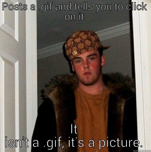 POSTS A .GIF AND TELLS YOU TO CLICK ON IT IT ISN'T A .GIF, IT'S A PICTURE. Scumbag Steve