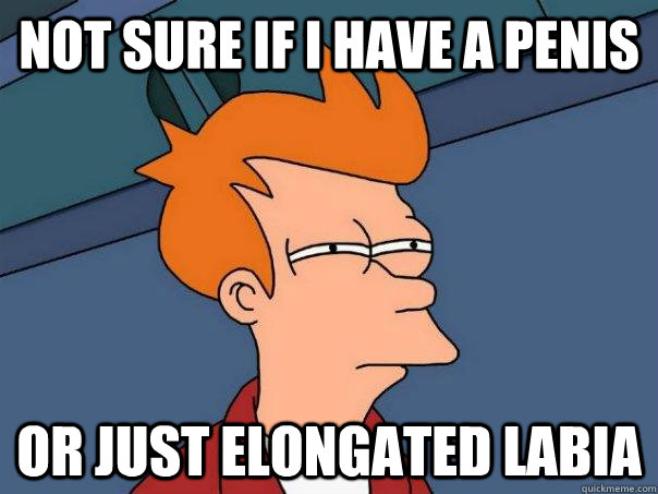 not sure if i have a penis or just elongated labia  Futurama Fry