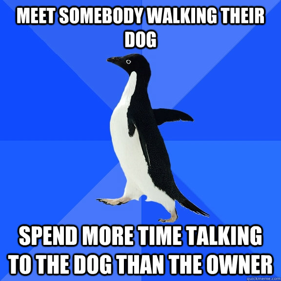 Meet somebody walking their dog Spend more time talking to the dog than the owner  Socially Awkward Penguin